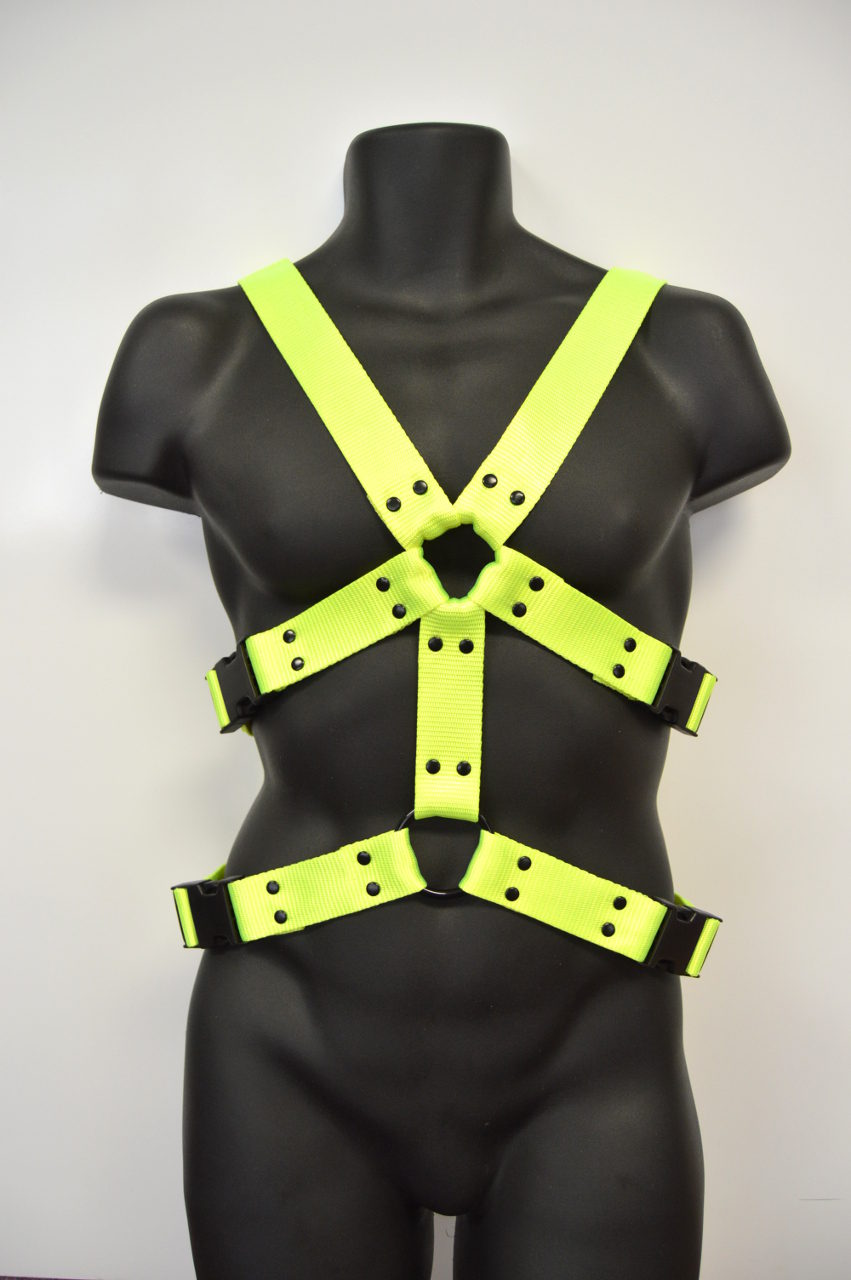 Double Harness