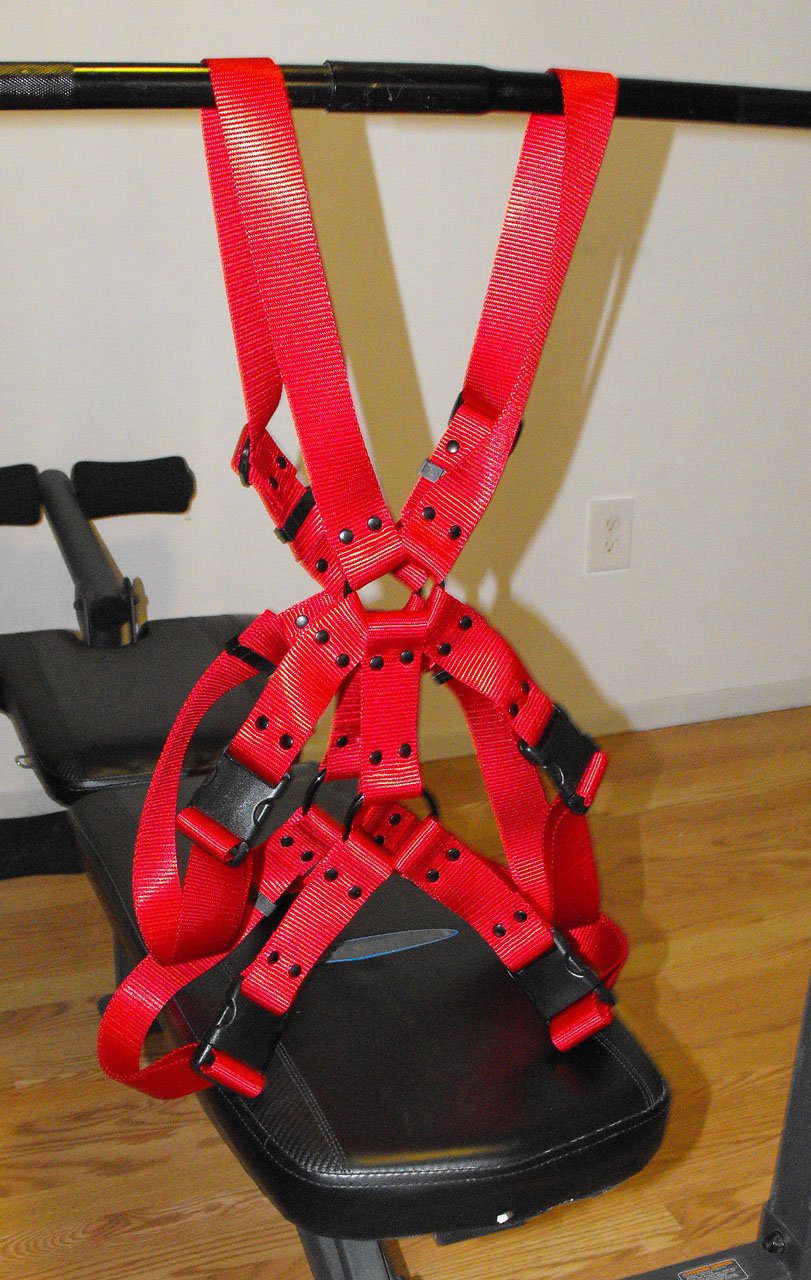 Double Harness