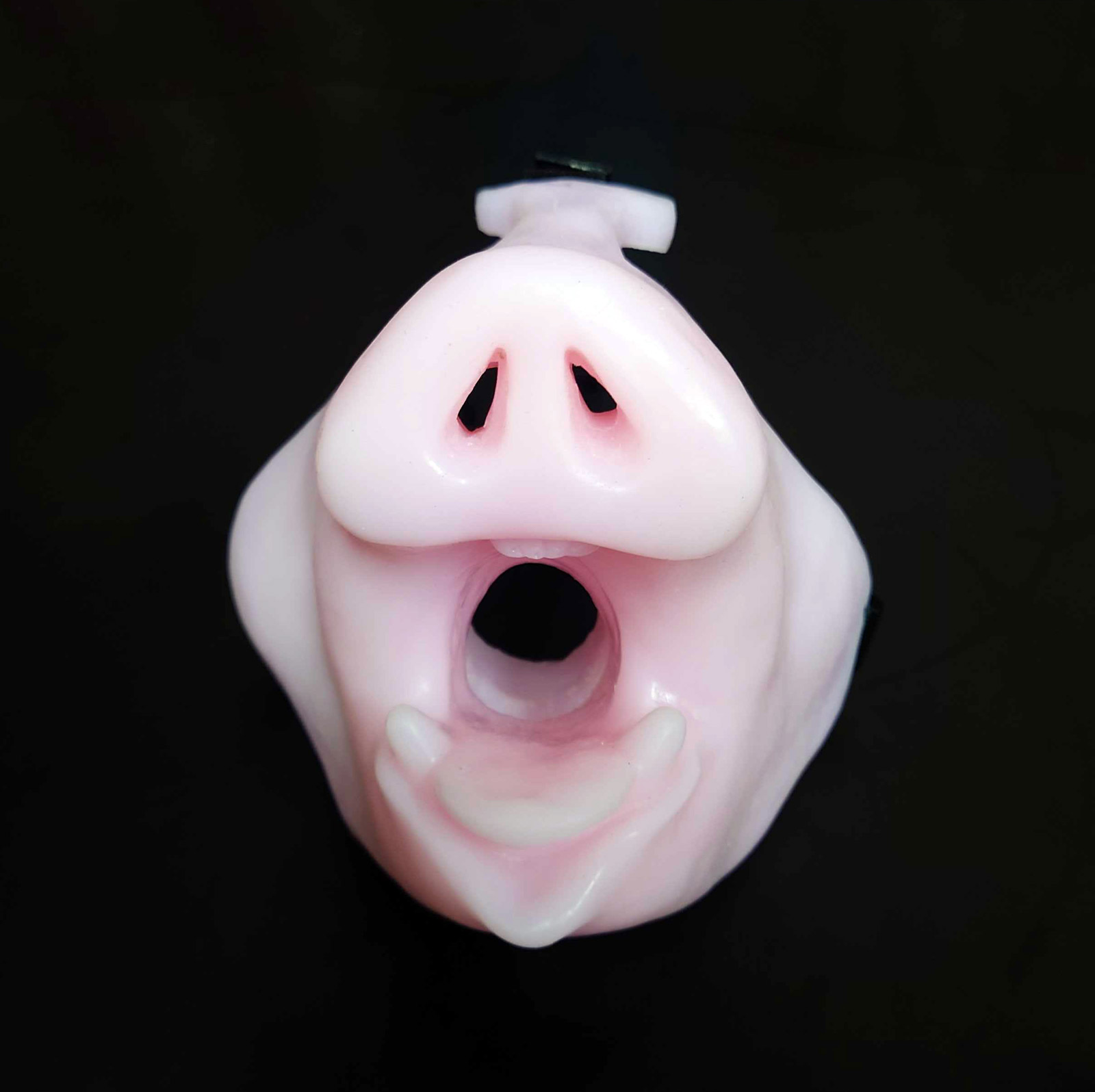 Half Pig Mask