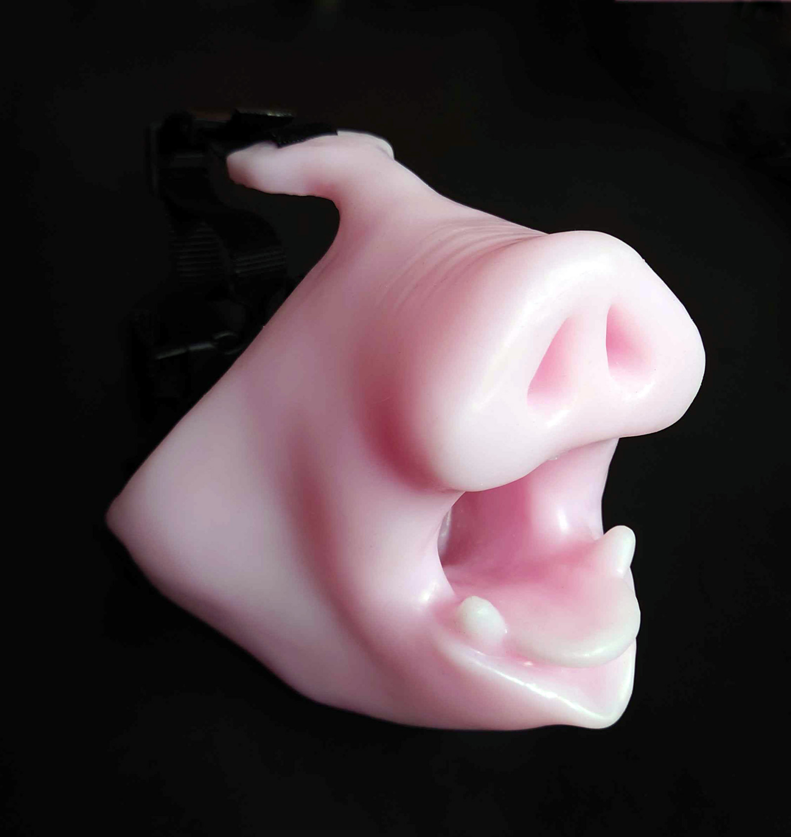 Half Pig Mask