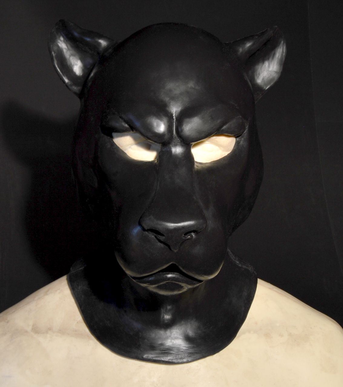 Panther Hood