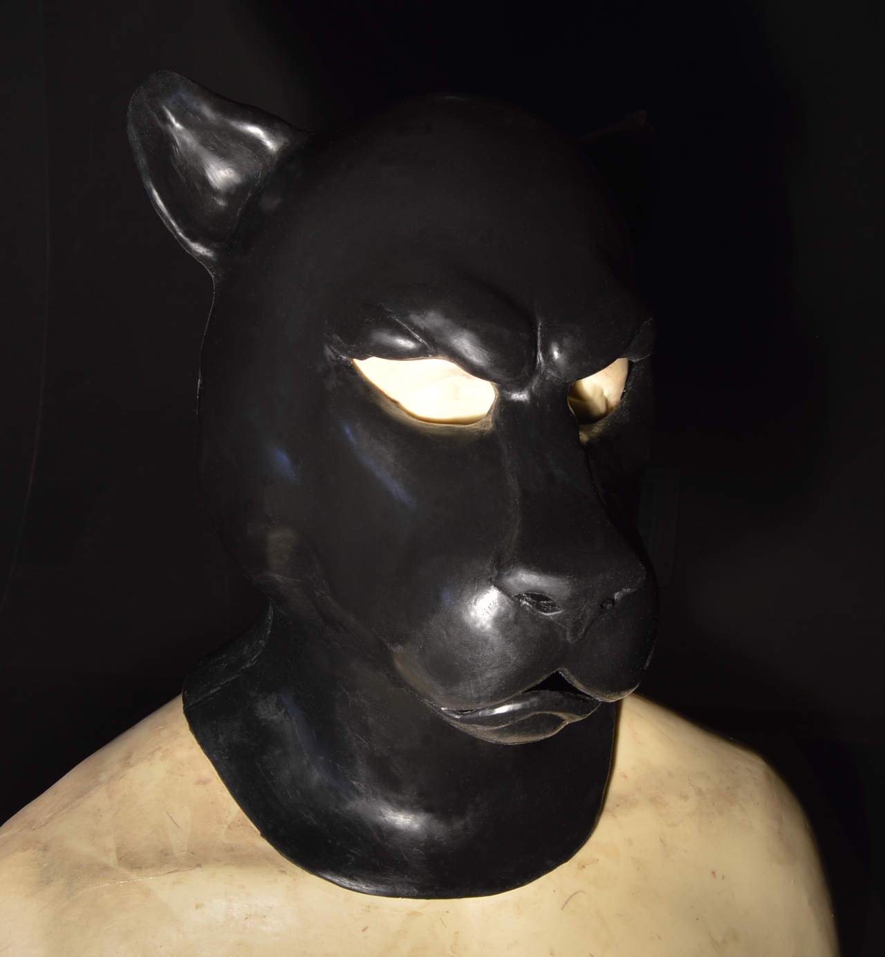 Panther Hood